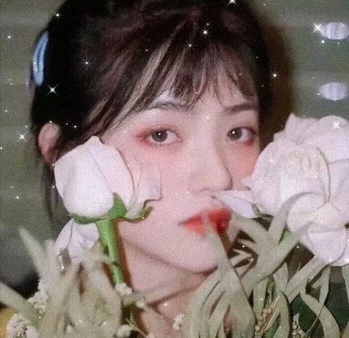 玩偶1968